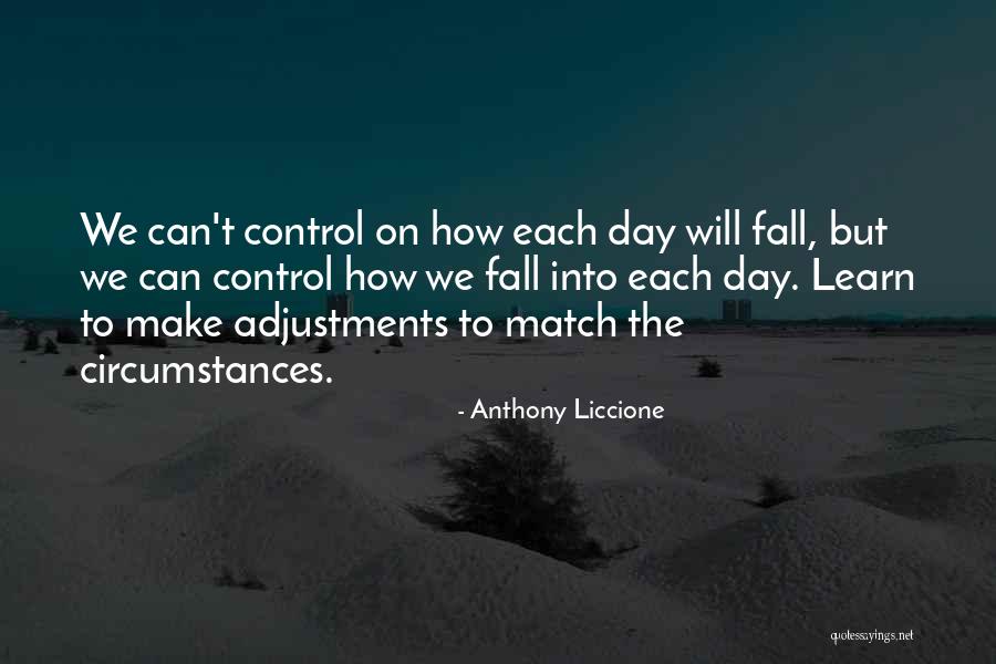 Situations You Can't Control Quotes By Anthony Liccione