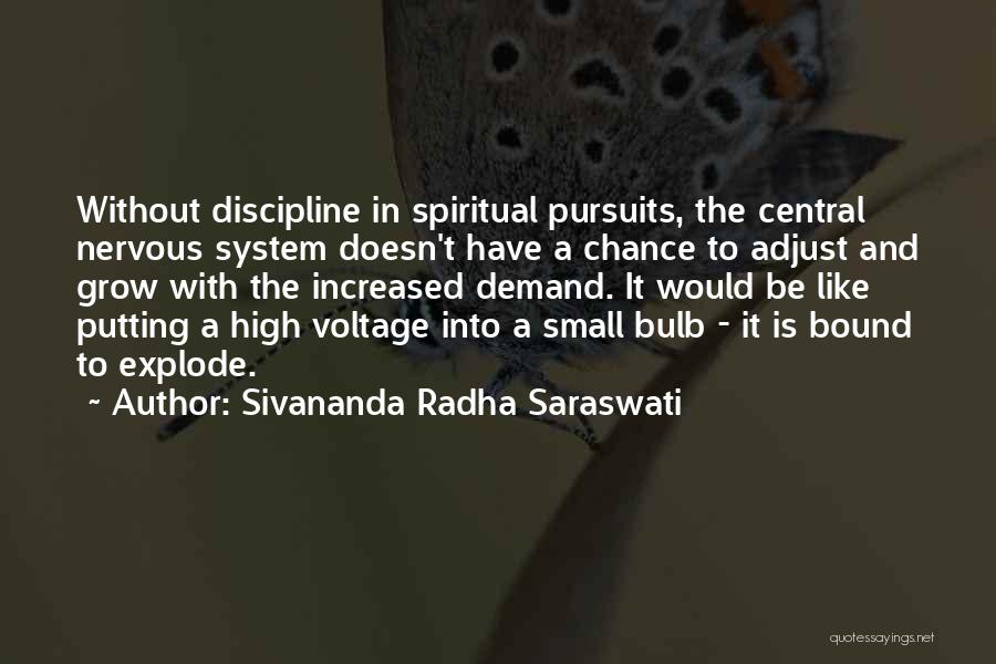 Sivananda Radha Saraswati Quotes 1864856