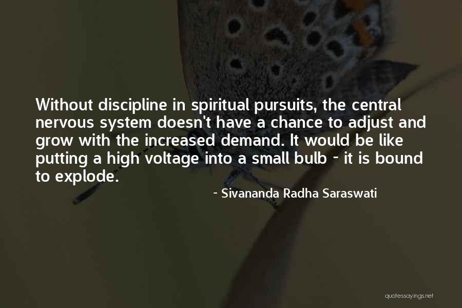 Sivananda Radha Saraswati Quotes 1864856