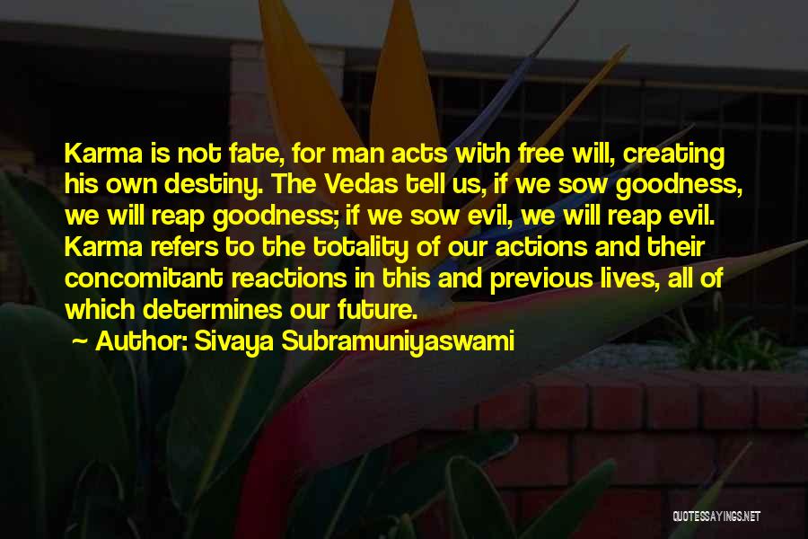 Sivaya Subramuniyaswami Quotes 1645821