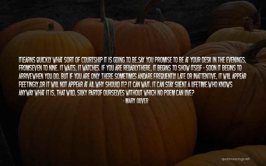 Sivesco Quotes By Mary Oliver Sivesco Quotes By Mary Oliver
