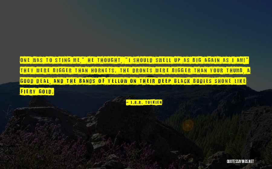 Sivilli Capital Management Quotes By J.R.R. Tolkien Sivilli Capital Management Quotes By J.R.R. Tolkien