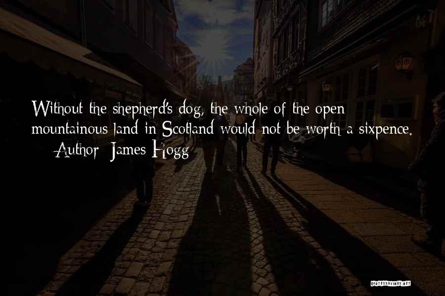 Sixpence Quotes By James Hogg