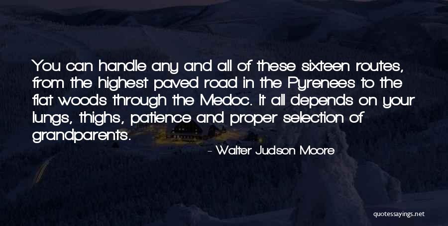 Sixteen Quotes By Walter Judson Moore Sixteen Quotes By Walter Judson Moore