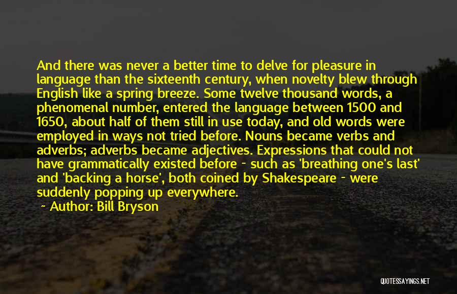 Sixteenth Century Quotes By Bill Bryson