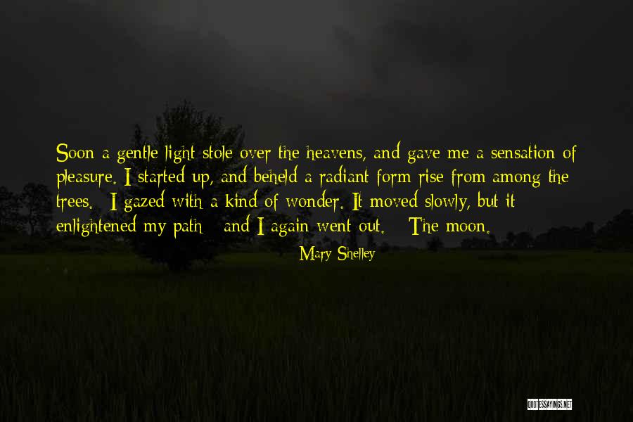 Sixto Diaz Rodriguez Quotes By Mary Shelley Sixto Diaz Rodriguez Quotes By Mary Shelley