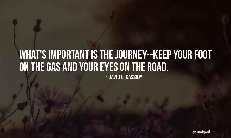 Sixtus Pope Quotes By David C. Cassidy Sixtus Pope Quotes By David C. Cassidy