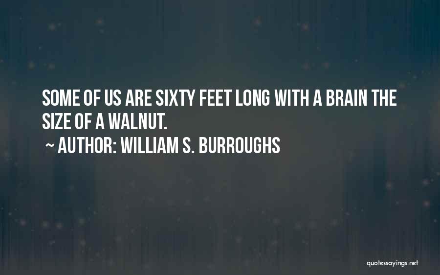 Sixty Quotes By William S. Burroughs