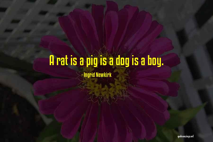 Siyabonga Mpungose Quotes By Ingrid Newkirk Siyabonga Mpungose Quotes By Ingrid Newkirk