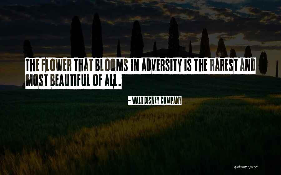 Siyad Koker Quotes By Walt Disney Company Siyad Koker Quotes By Walt Disney Company