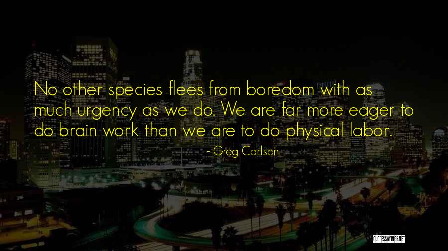 Siyad Lost Quotes By Greg Carlson Siyad Lost Quotes By Greg Carlson