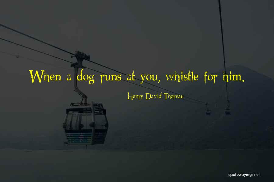 Siyamthanda Quotes By Henry David Thoreau Siyamthanda Quotes By Henry David Thoreau