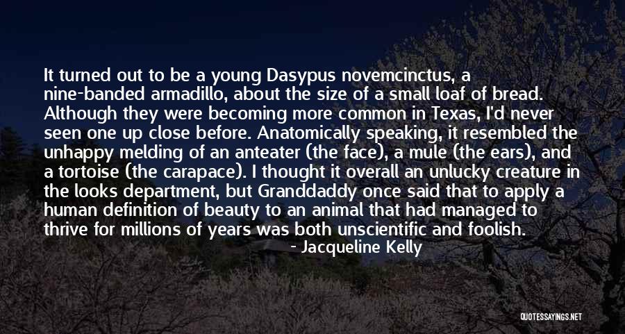 Size And Beauty Quotes By Jacqueline Kelly