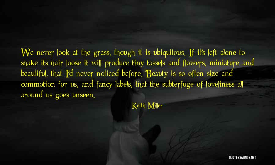 Size And Beauty Quotes By Keith Miller Size And Beauty Quotes By Keith Miller