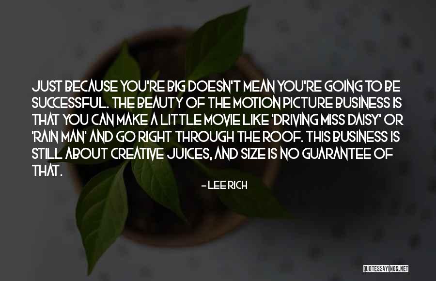 Size And Beauty Quotes By Lee Rich