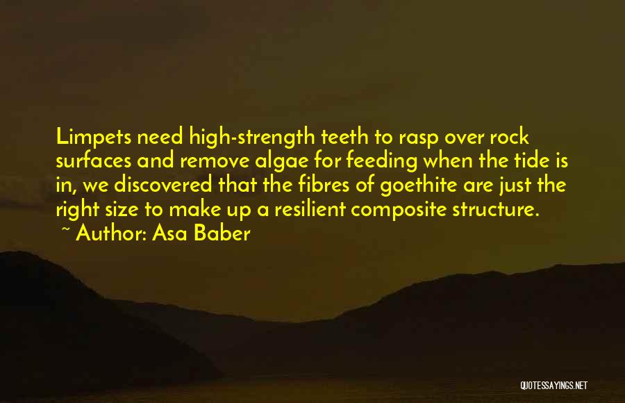 Size And Strength Quotes By Asa Baber