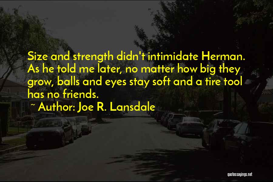 Size And Strength Quotes By Joe R. Lansdale