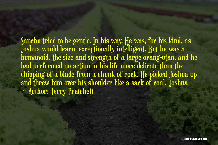 Size And Strength Quotes By Terry Pratchett