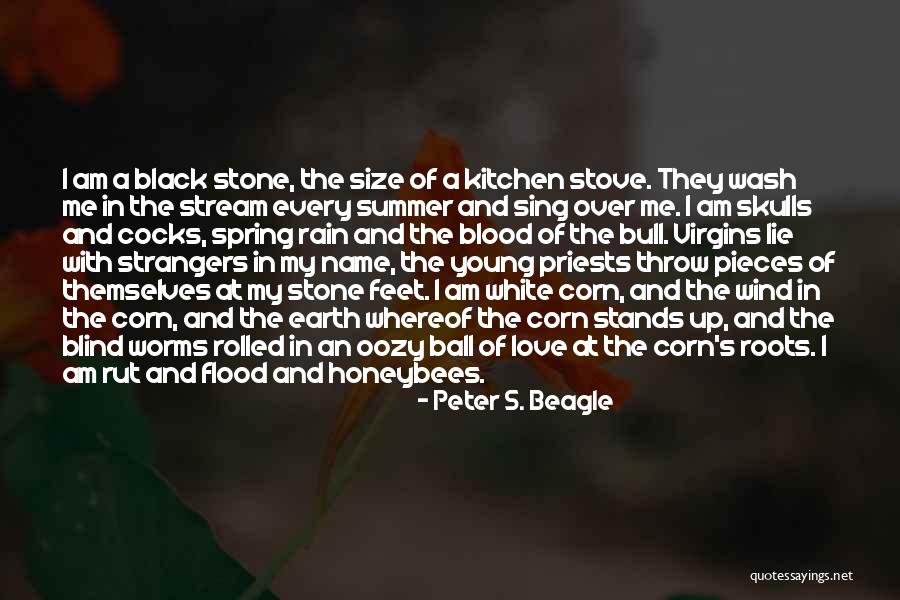 Size Of Earth Quotes By Peter S. Beagle Size Of Earth Quotes By Peter S. Beagle