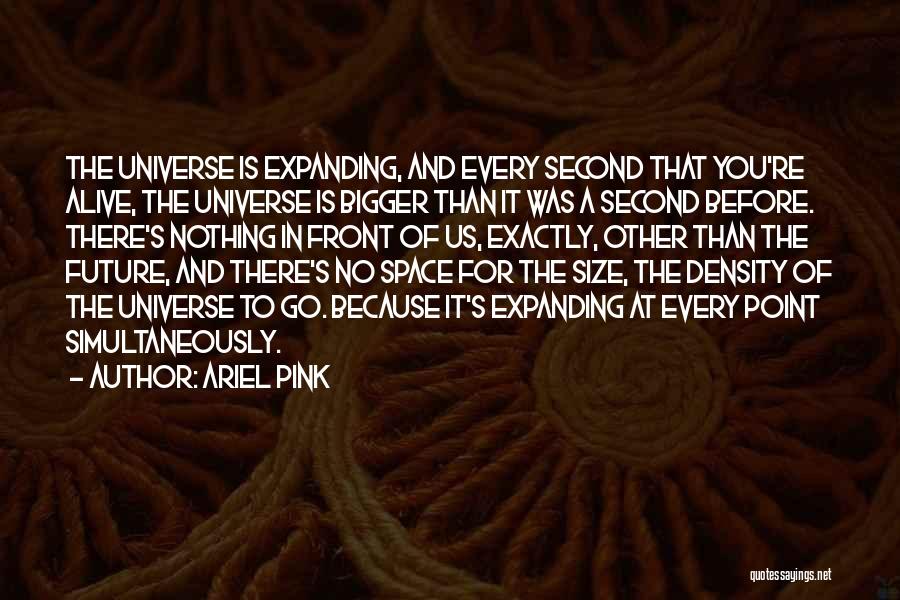 Size Of Universe Quotes By Ariel Pink