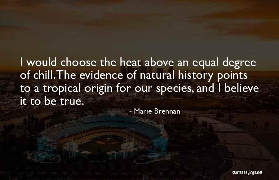 Sizeland Evans Quotes By Marie Brennan Sizeland Evans Quotes By Marie Brennan