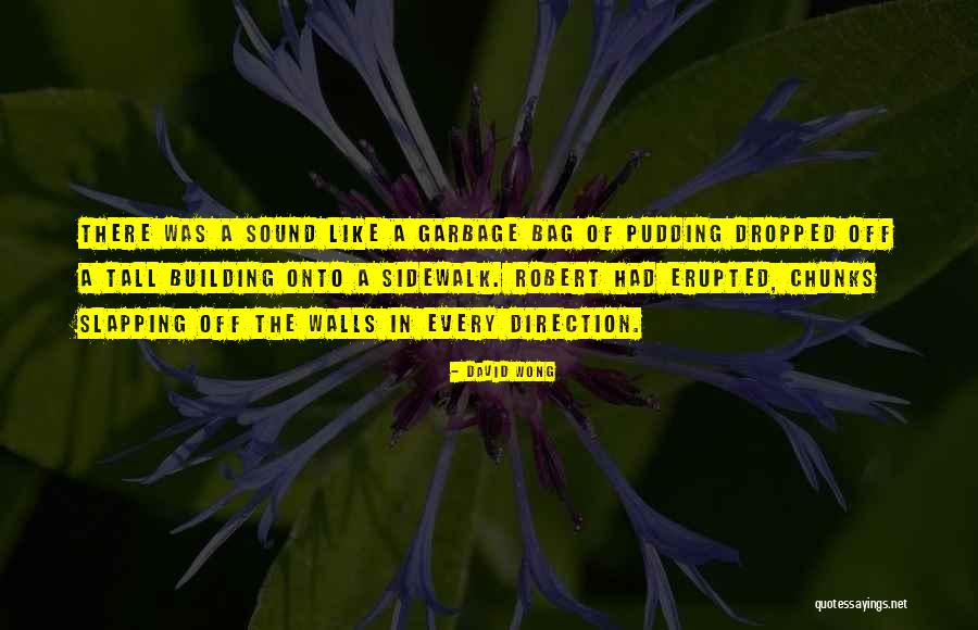 Sjajna Kosa Quotes By David Wong Sjajna Kosa Quotes By David Wong