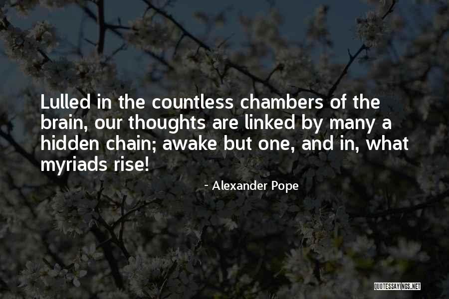 Sjambokked Quotes By Alexander Pope Sjambokked Quotes By Alexander Pope