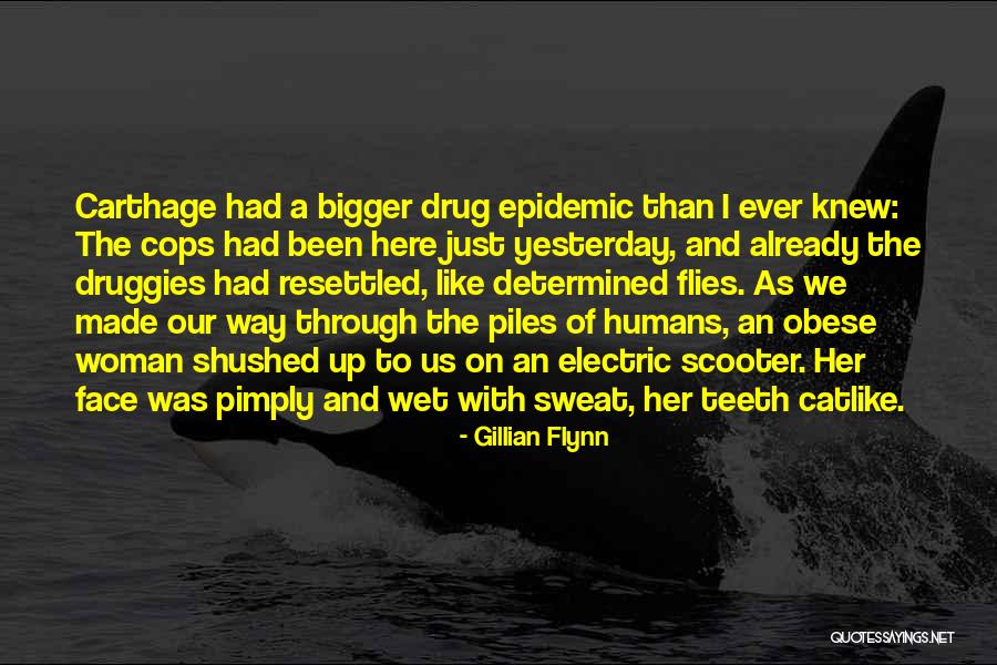 Sjef Van Oekel Quotes By Gillian Flynn Sjef Van Oekel Quotes By Gillian Flynn