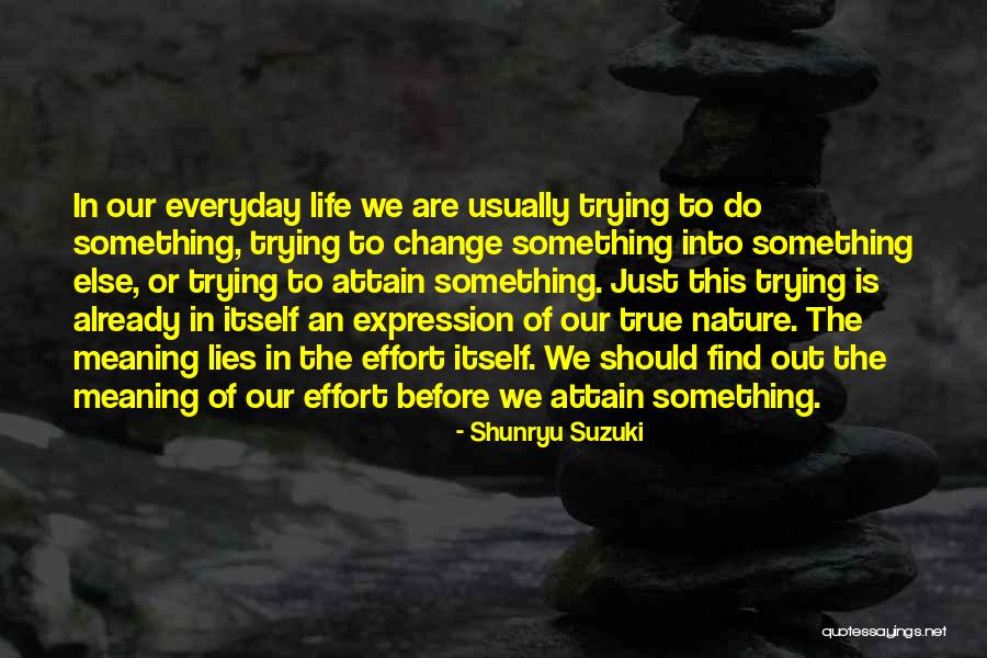Skaanings Quotes By Shunryu Suzuki Skaanings Quotes By Shunryu Suzuki