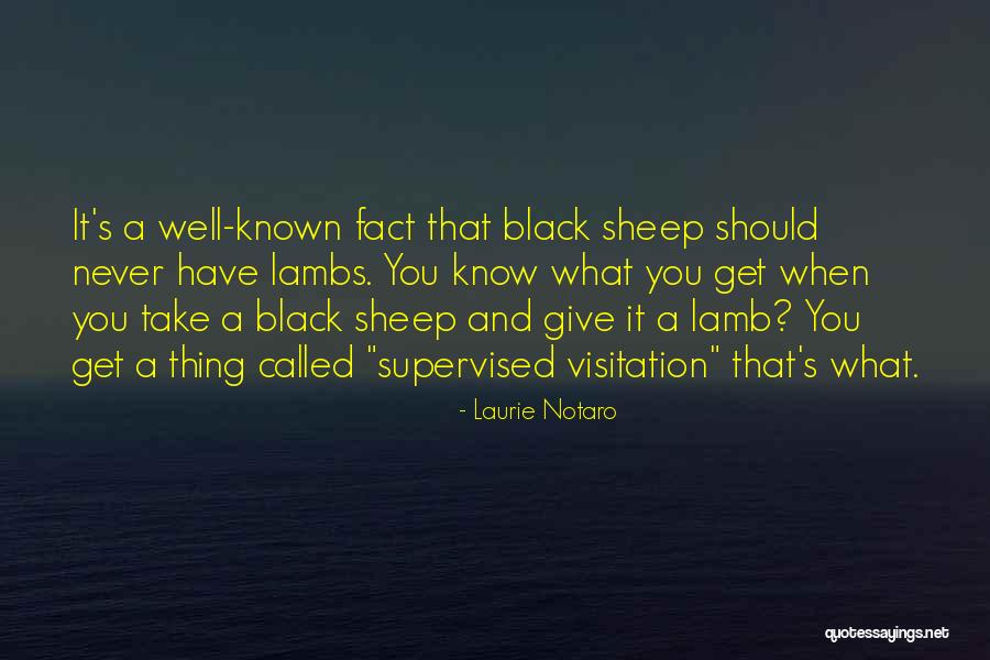 Skaarup Shipping Quotes By Laurie Notaro Skaarup Shipping Quotes By Laurie Notaro