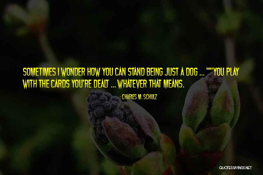 Skaema Quotes By Charles M. Schulz Skaema Quotes By Charles M. Schulz