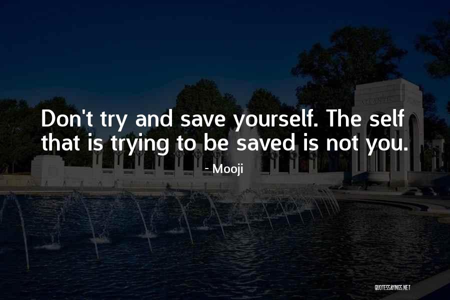 Skagerak Georg Quotes By Mooji Skagerak Georg Quotes By Mooji