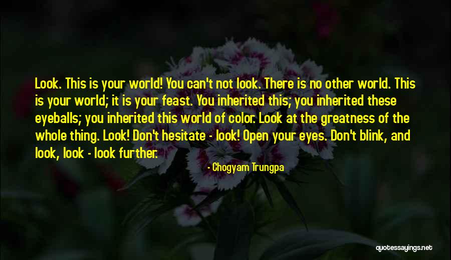 Skaldens Quotes By Chogyam Trungpa Skaldens Quotes By Chogyam Trungpa