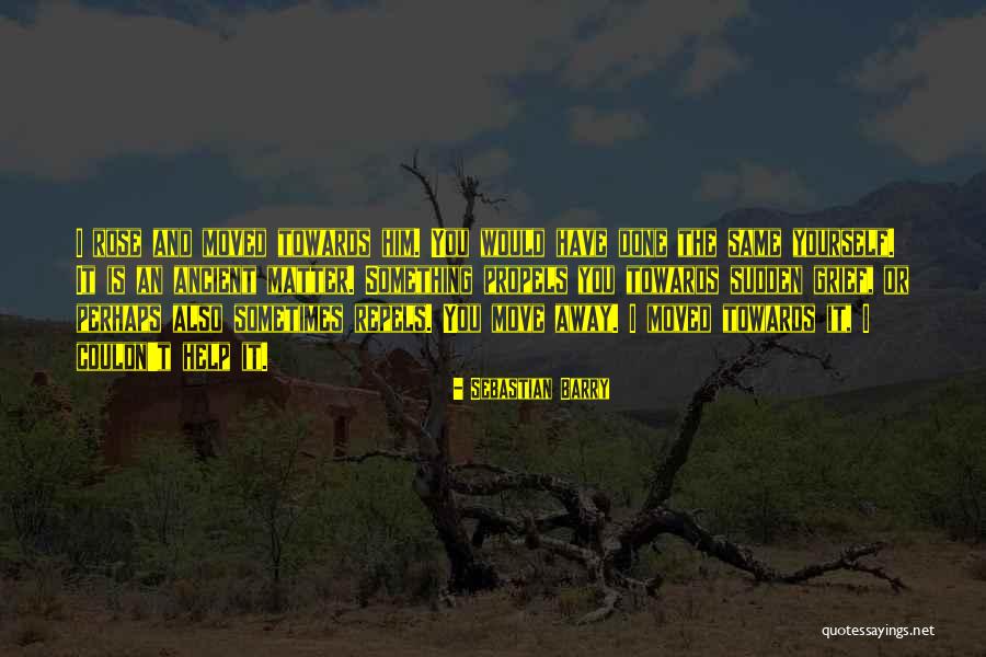 Skaler Quotes By Sebastian Barry Skaler Quotes By Sebastian Barry