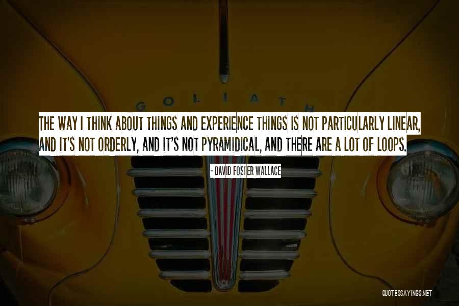 Skardu Quotes By David Foster Wallace Skardu Quotes By David Foster Wallace