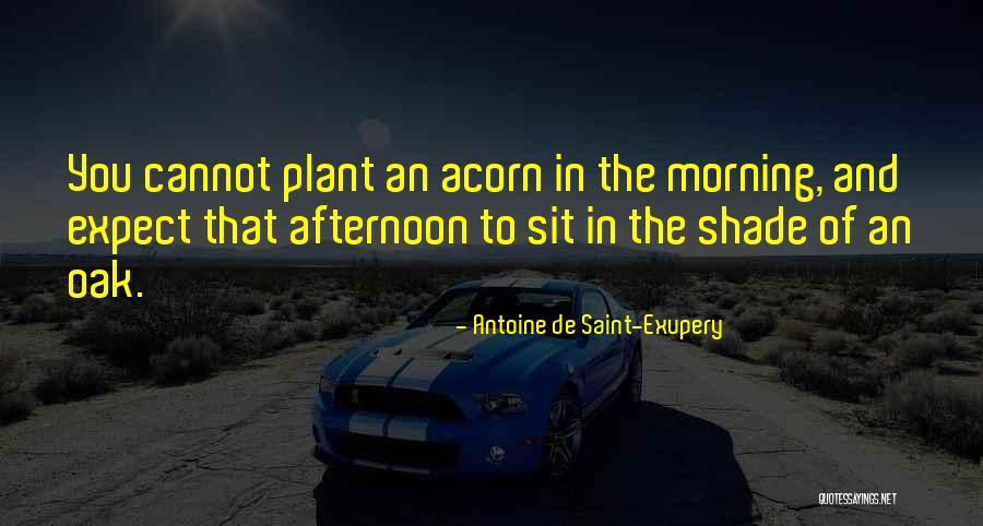 Skarsg Rd Tarzan Quotes By Antoine De Saint-Exupery Skarsg Rd Tarzan Quotes By Antoine De Saint-Exupery
