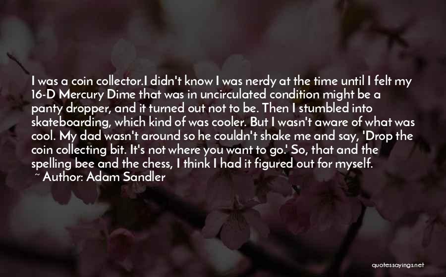 Skateboarding Quotes By Adam Sandler