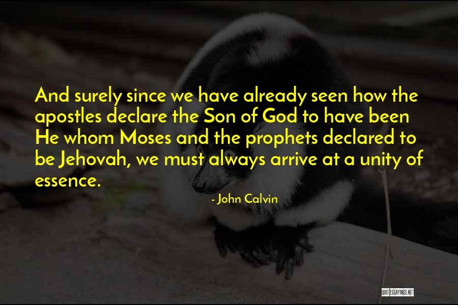 Skazaniec Cda Quotes By John Calvin Skazaniec Cda Quotes By John Calvin