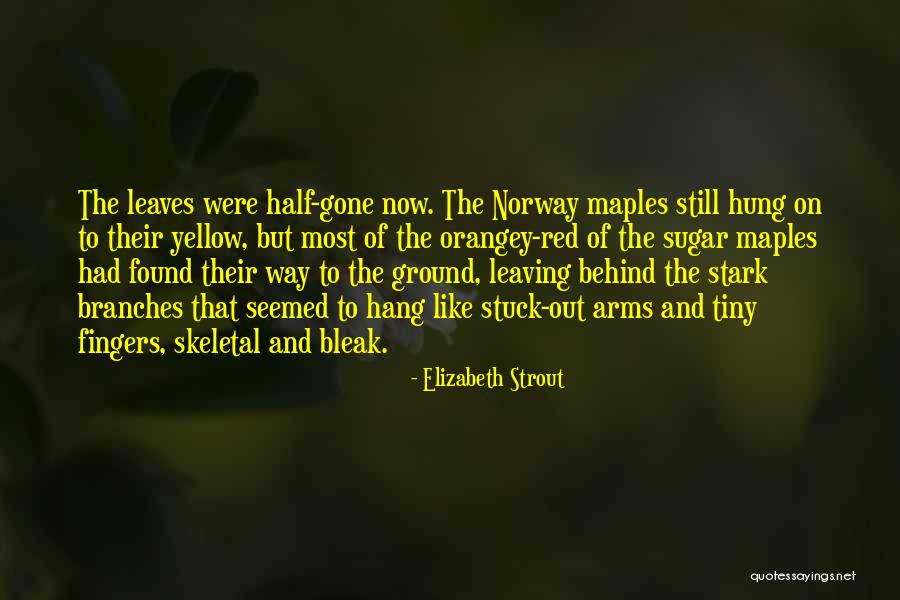 Skeletal Quotes By Elizabeth Strout Skeletal Quotes By Elizabeth Strout