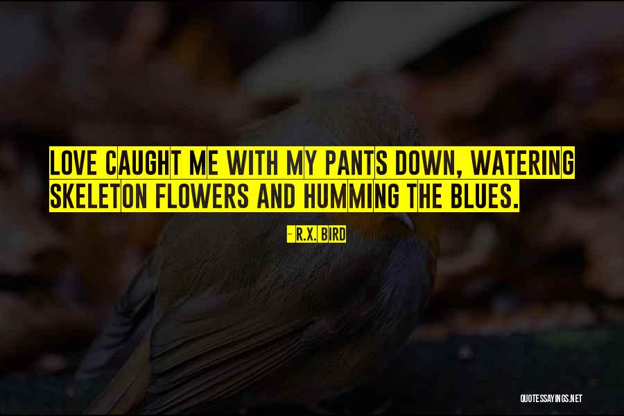 Skeleton Love Quotes By R.X. Bird Skeleton Love Quotes By R.X. Bird