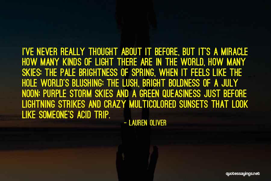 Skenderija Bridge Quotes By Lauren Oliver Skenderija Bridge Quotes By Lauren Oliver