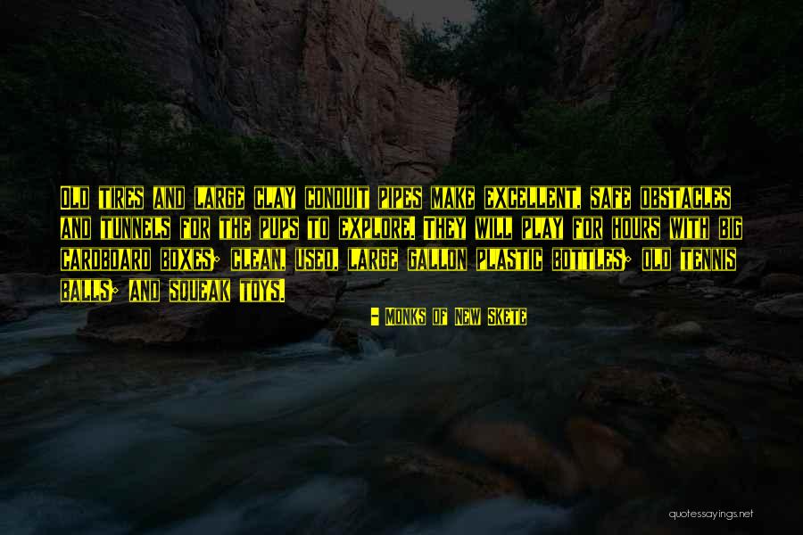 Skete Quotes By Monks Of New Skete Skete Quotes By Monks Of New Skete