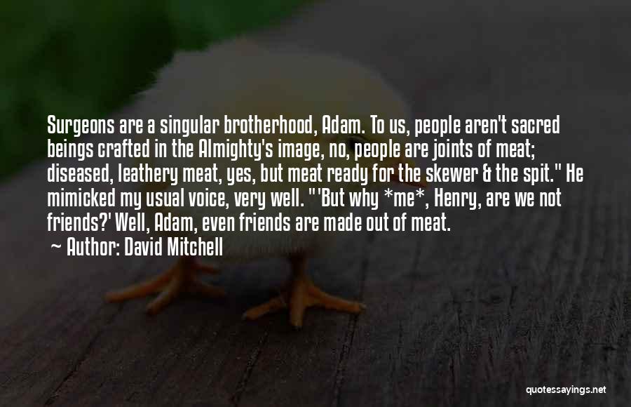 Skewer Quotes By David Mitchell