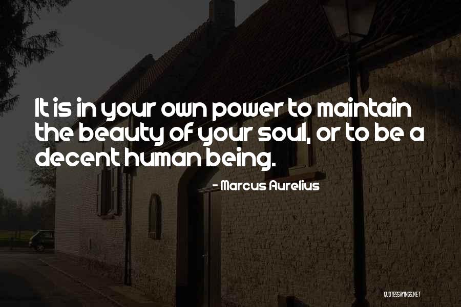 Skewers For Roasting Quotes By Marcus Aurelius Skewers For Roasting Quotes By Marcus Aurelius