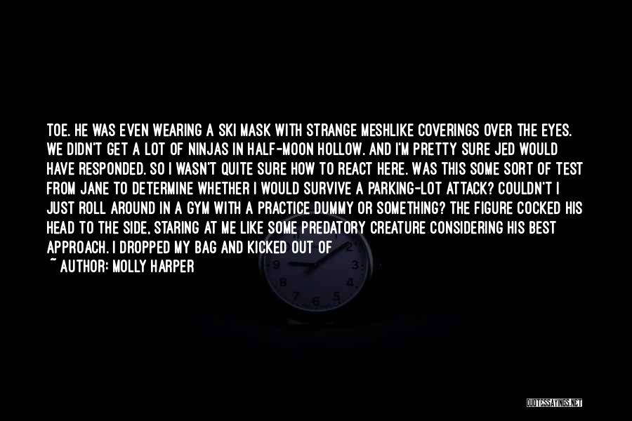 Ski Mask Quotes By Molly Harper