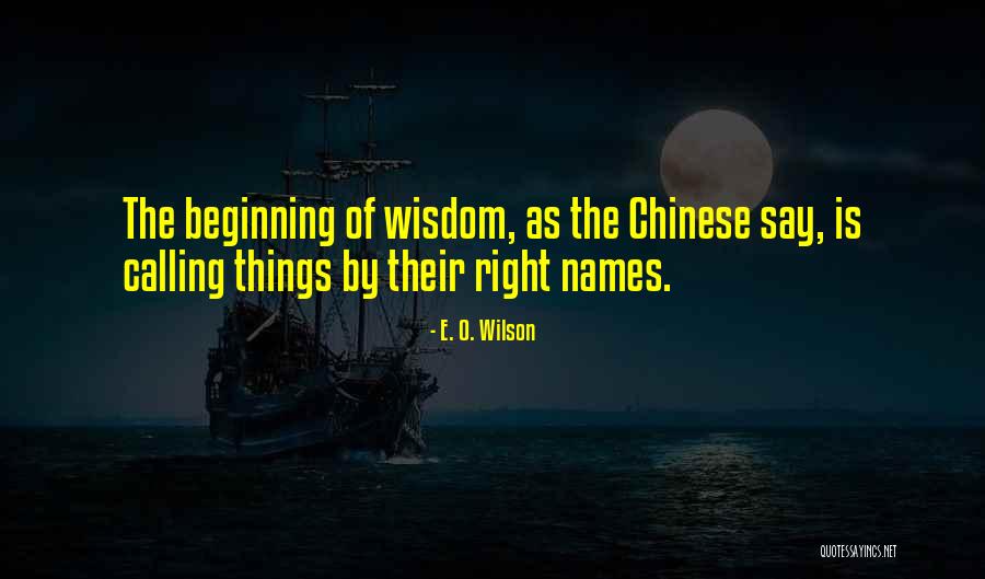 Ski Resort Romance Quotes By E. O. Wilson