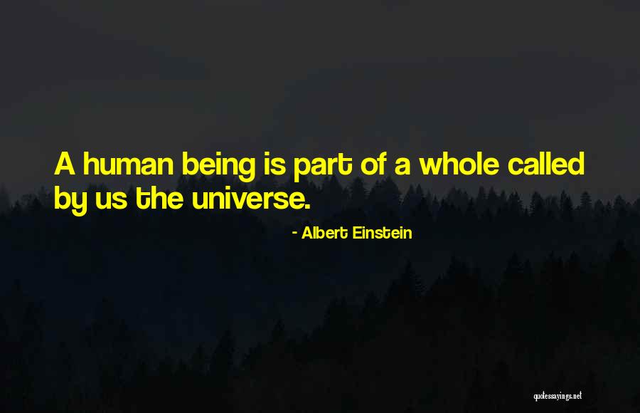 Skicity Quotes By Albert Einstein Skicity Quotes By Albert Einstein