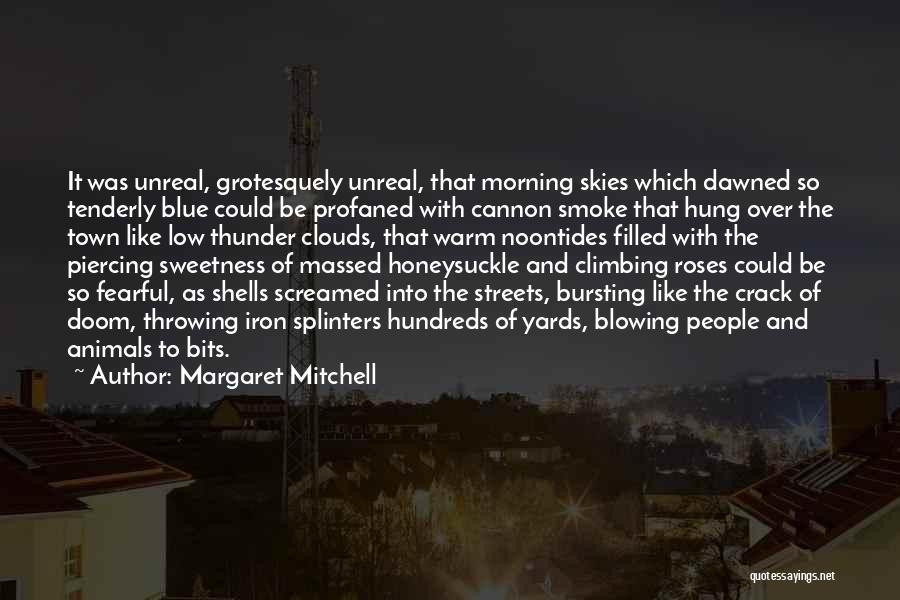 Skies And Clouds Quotes By Margaret Mitchell