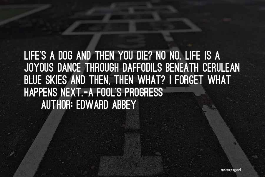 Skies And Life Quotes By Edward Abbey