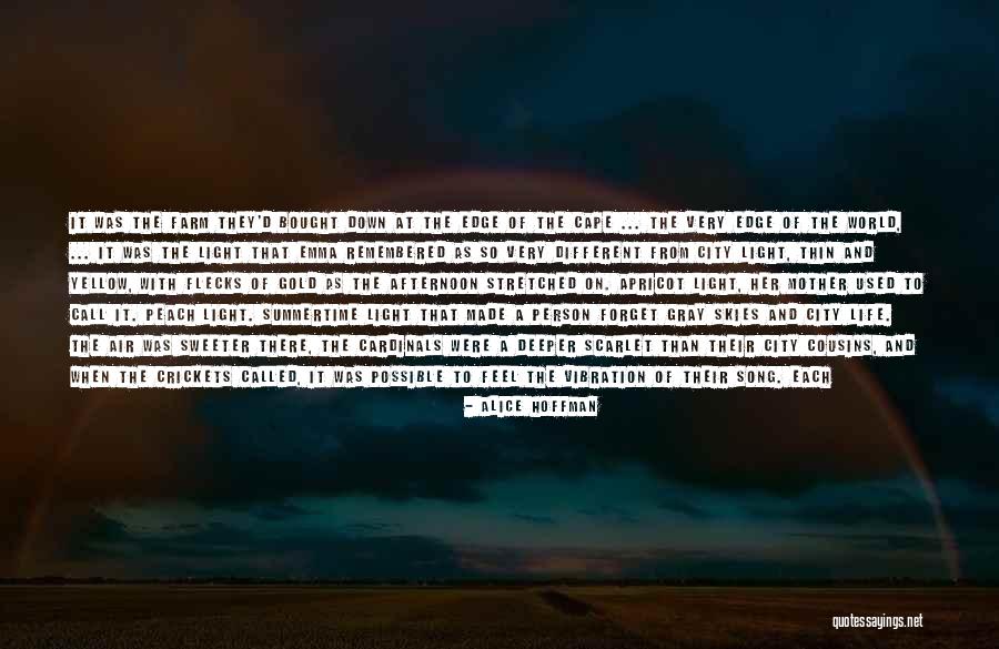 Skies Are Gray Quotes By Alice Hoffman Skies Are Gray Quotes By Alice Hoffman